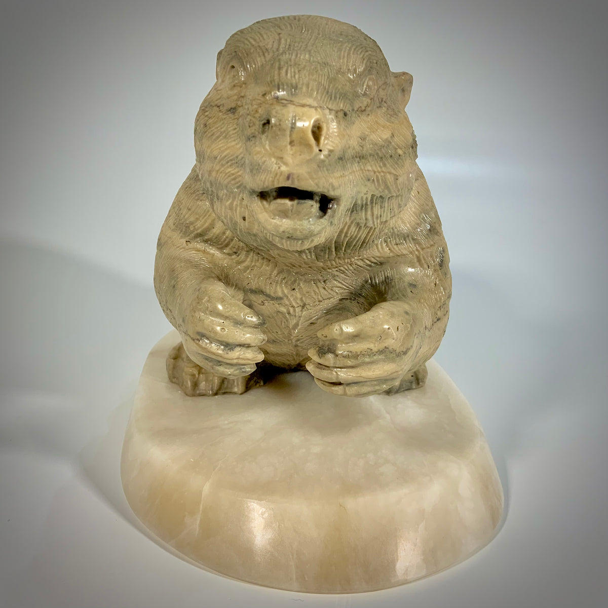 Canadian Beaver Detailed