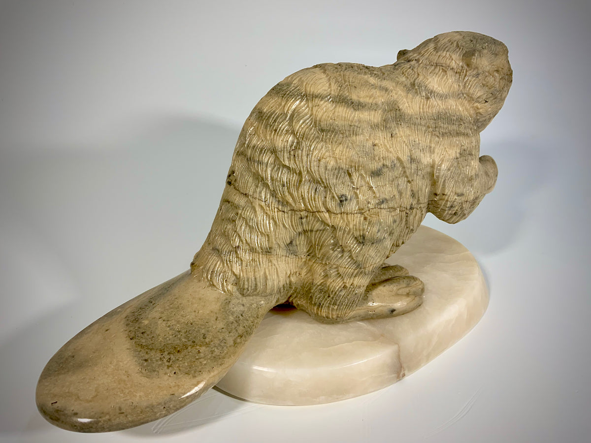 Canadian Beaver Detailed