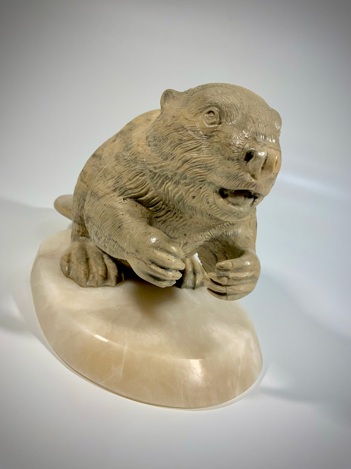 Canadian Beaver Detailed
