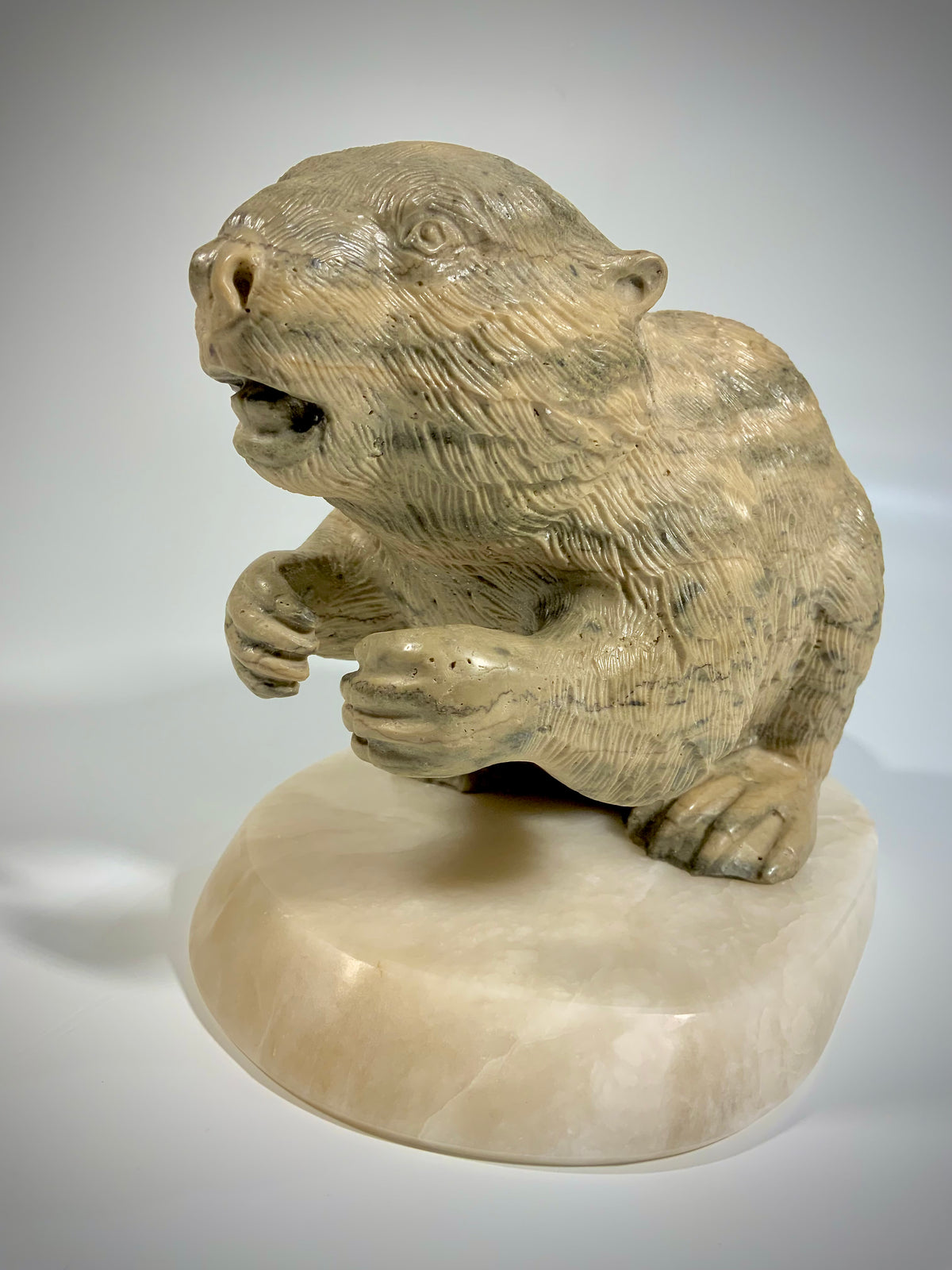 Canadian Beaver Detailed