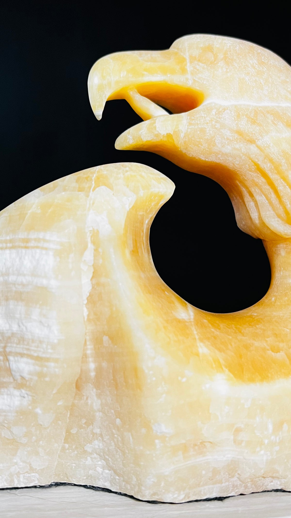 Seafoam Eagle