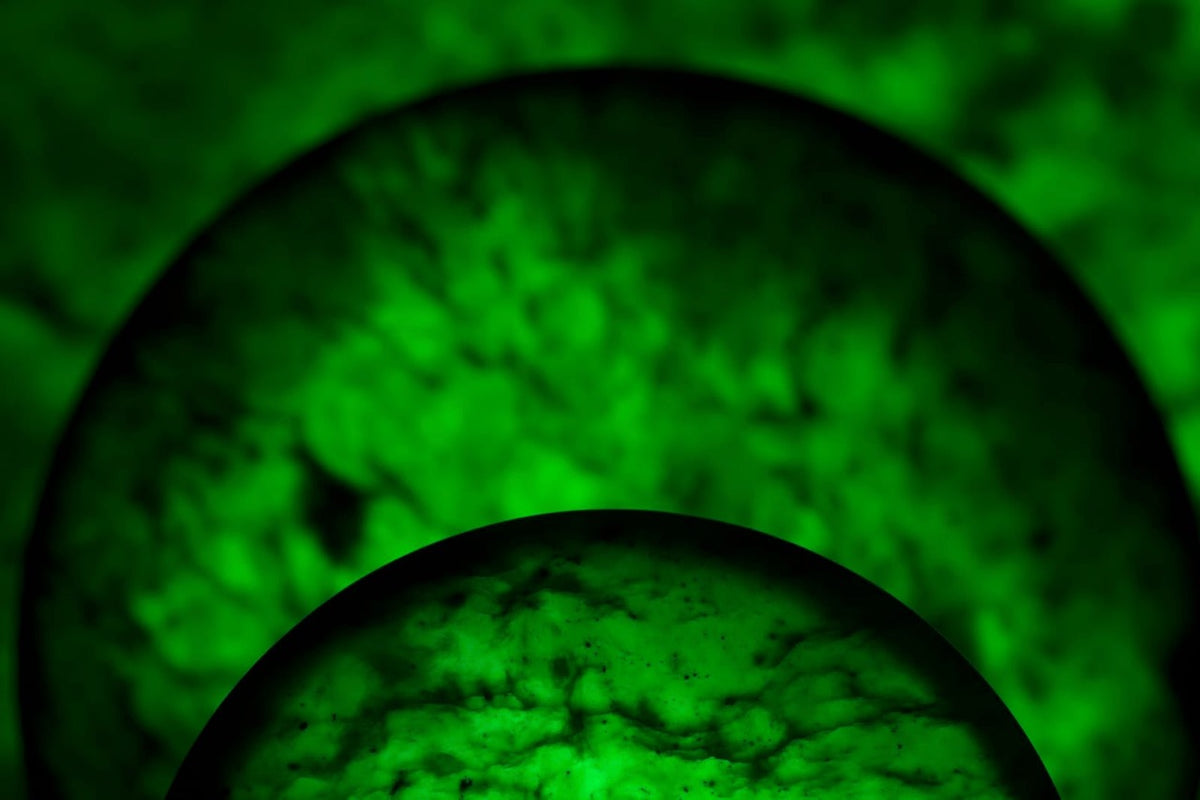 Jade Sun Light