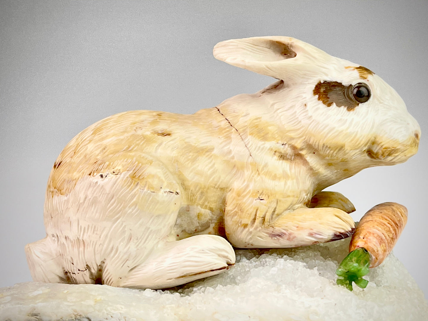 Rabbit