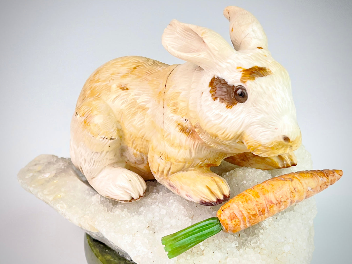 Rabbit