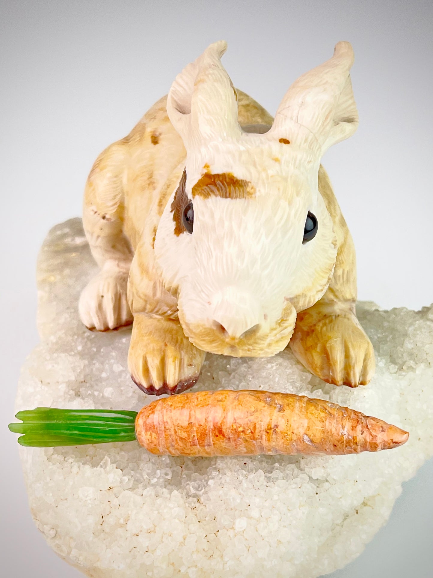 Rabbit