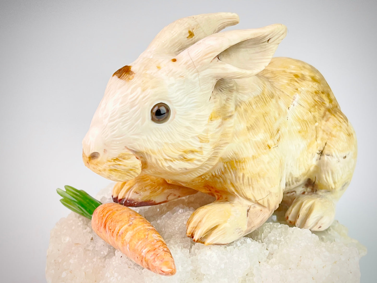 Rabbit