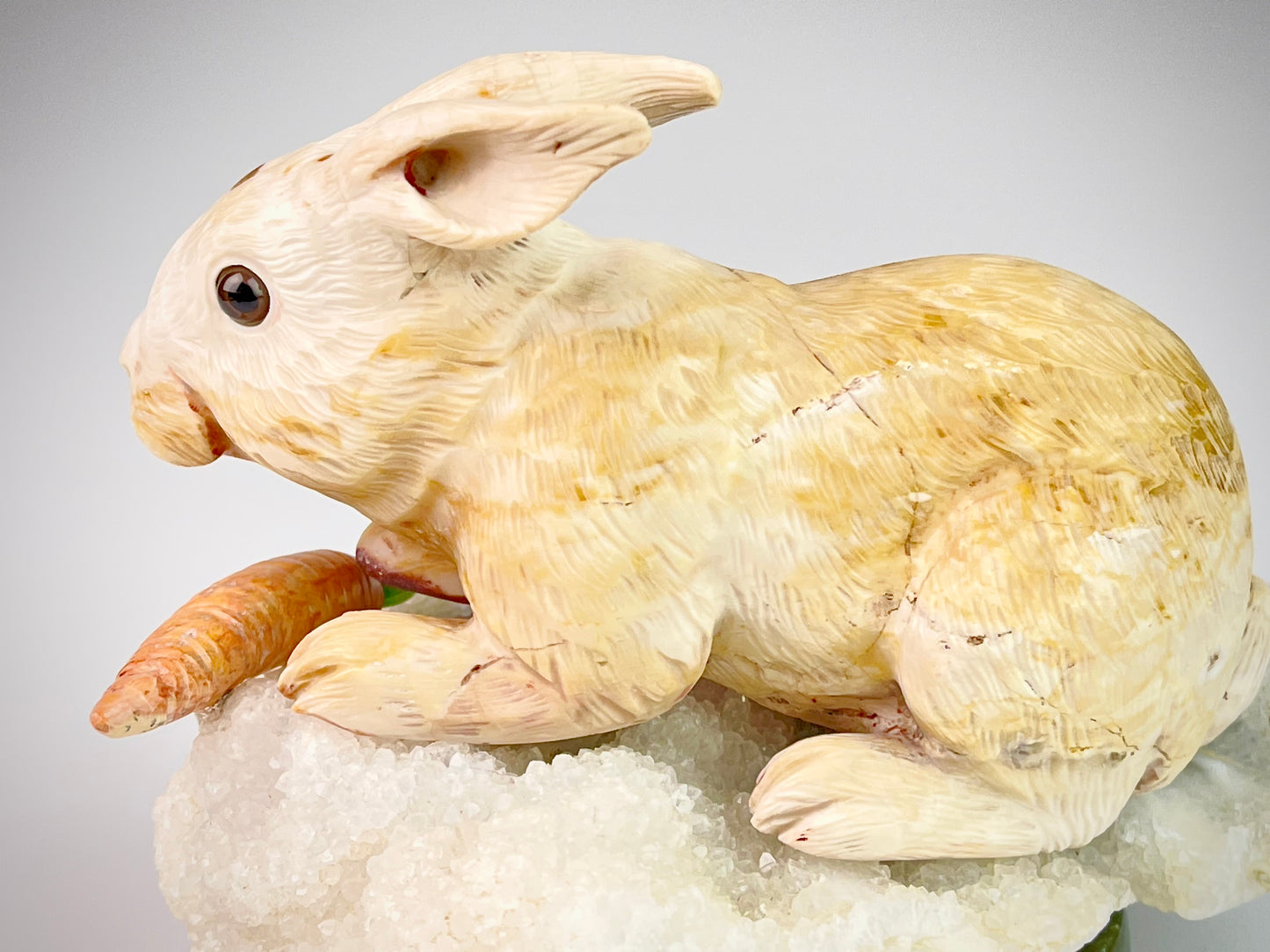 Rabbit
