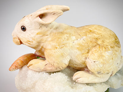 Rabbit