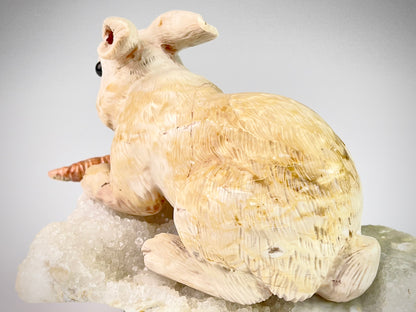 Rabbit