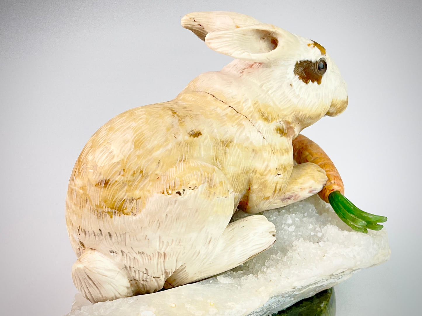 Rabbit