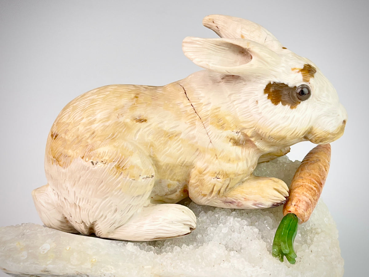 Rabbit