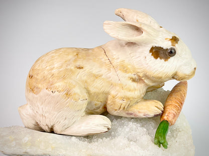 Rabbit