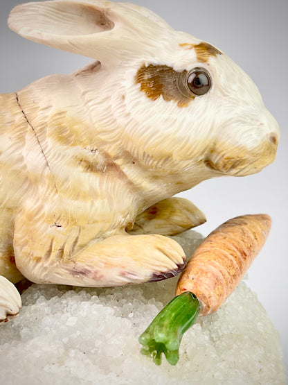 Rabbit
