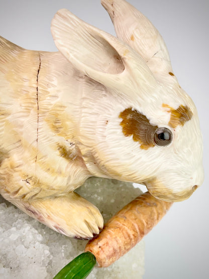 Rabbit