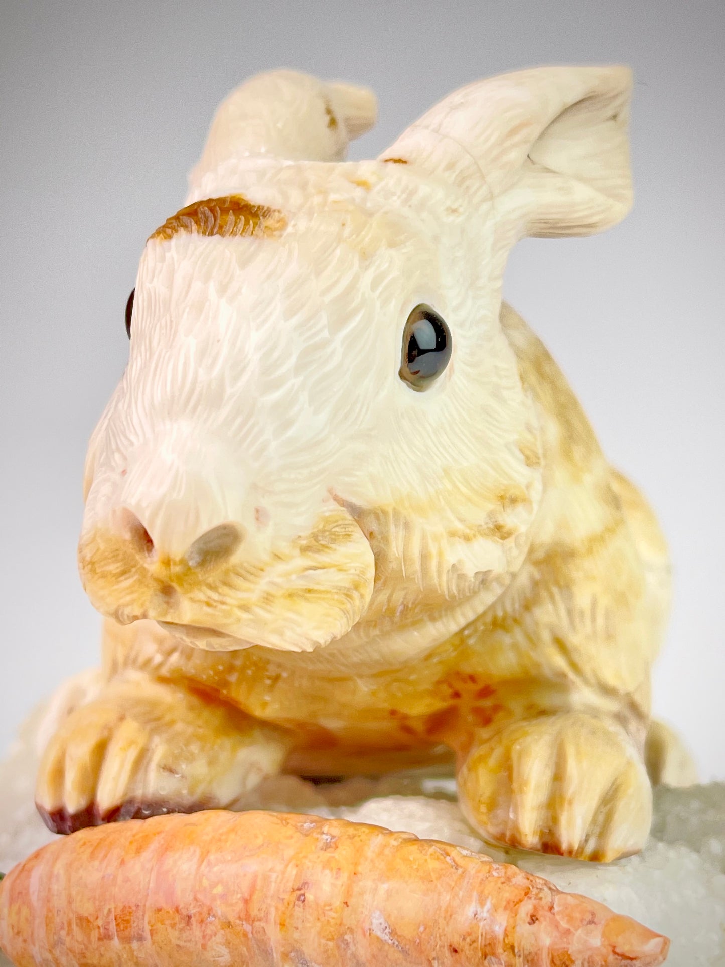 Rabbit