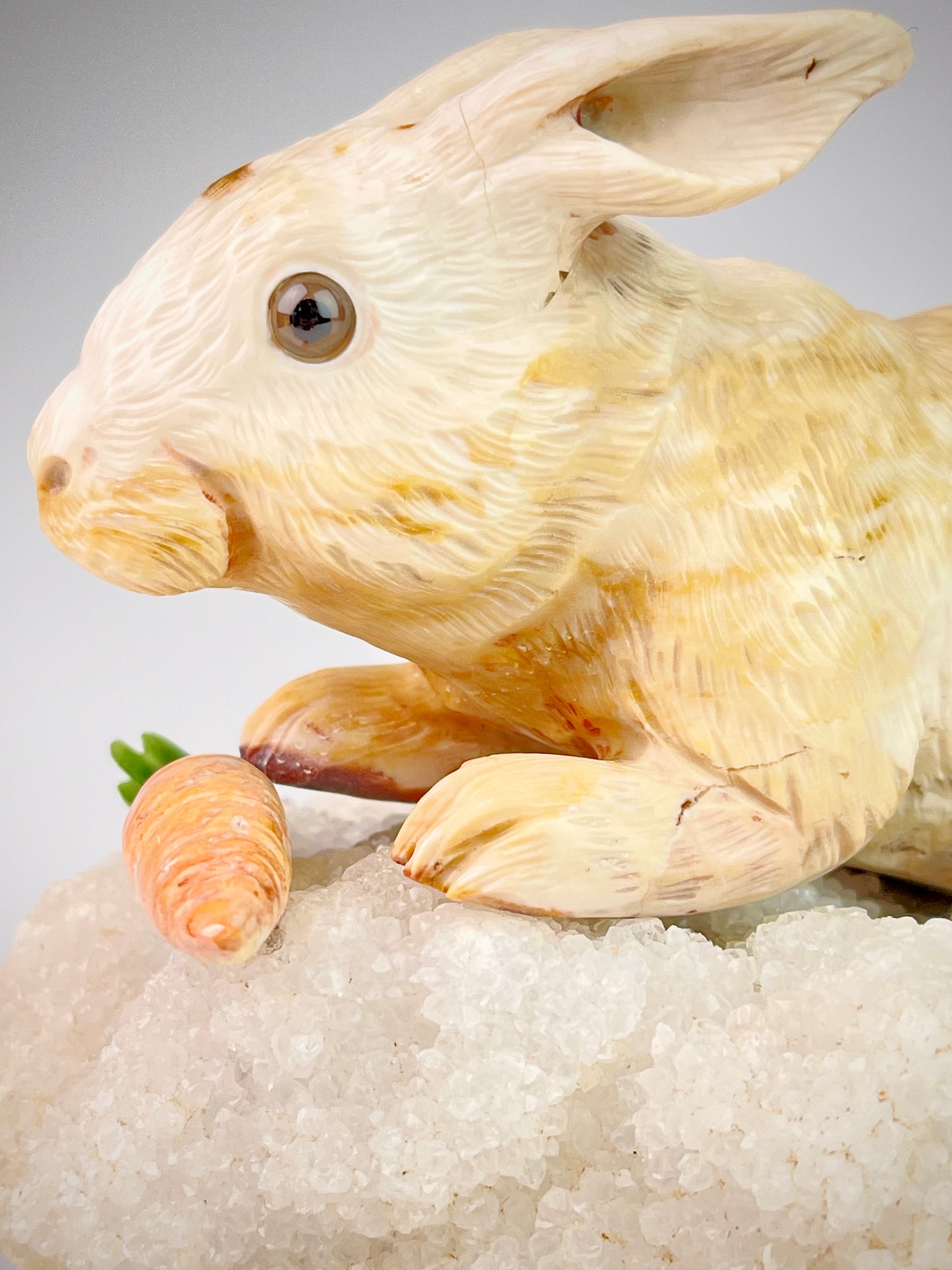 Rabbit