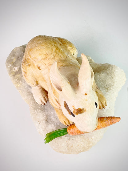 Rabbit