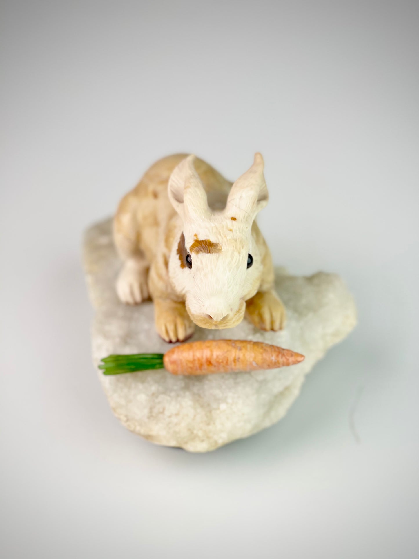 Rabbit