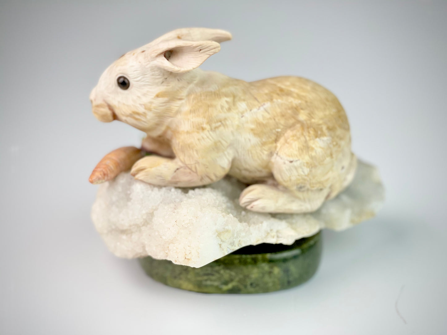 Rabbit