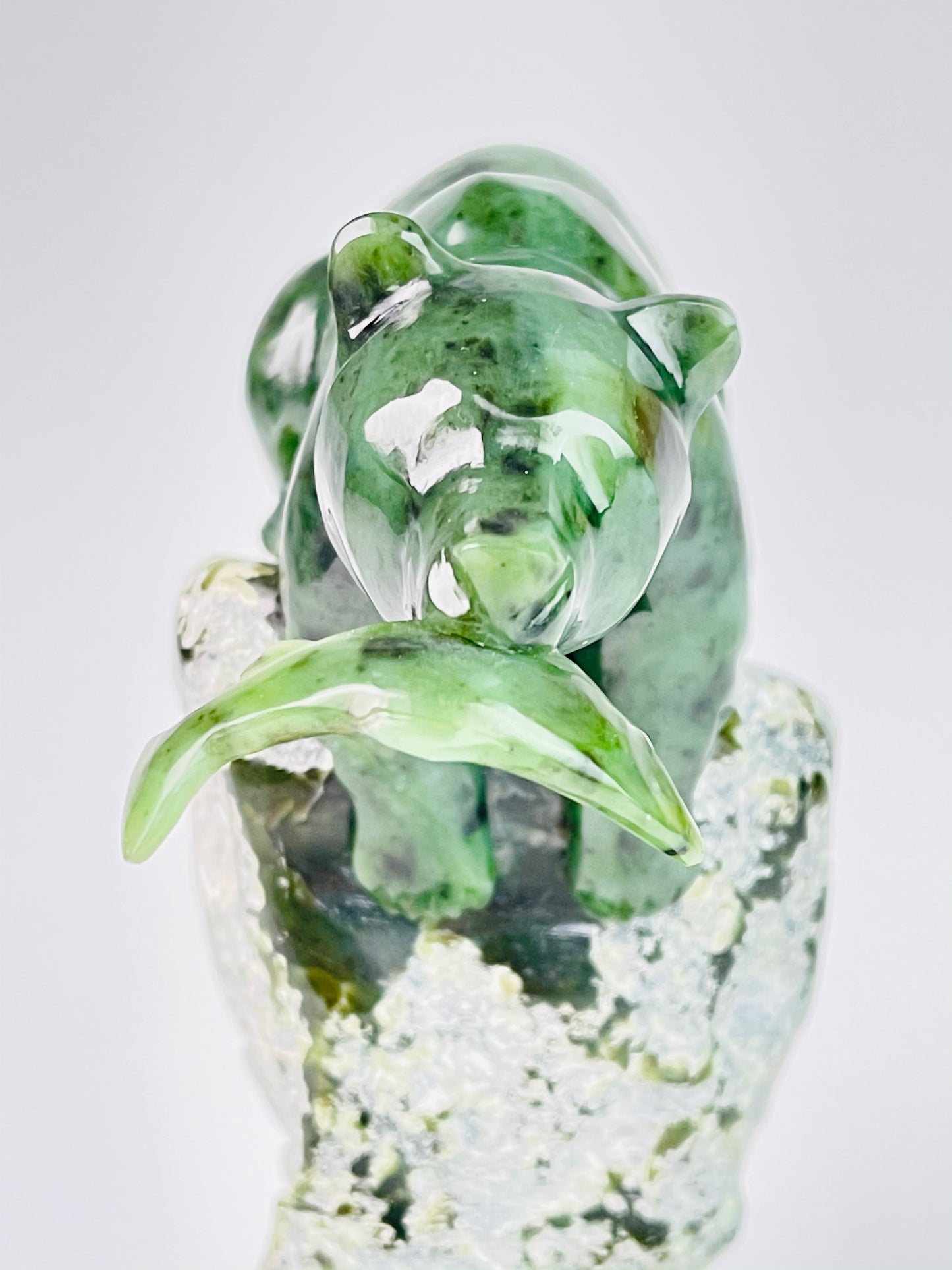 Kutcho Cub