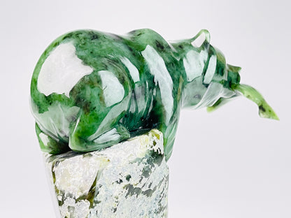 Kutcho Cub