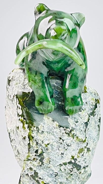 Kutcho Cub