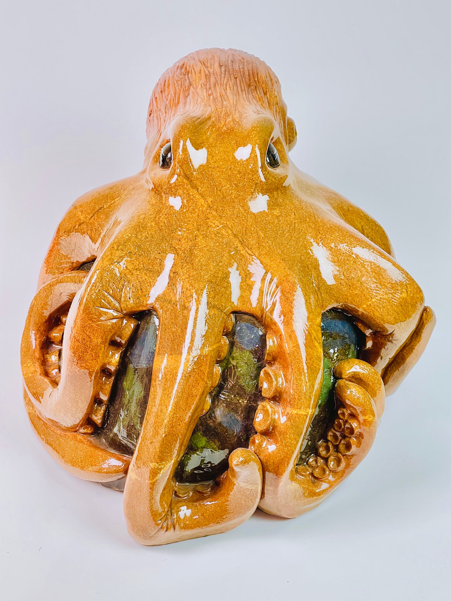 Giant Pacific Octopus
