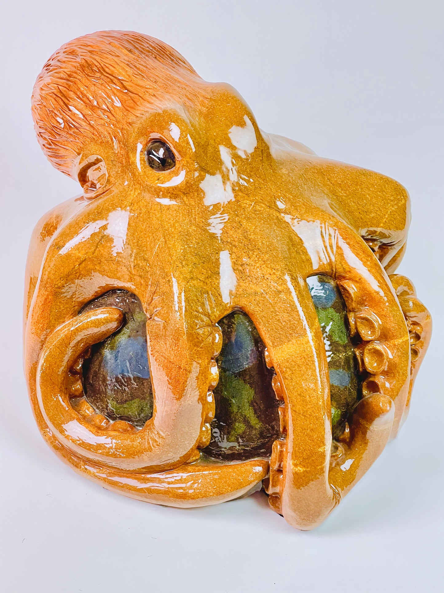 Giant Pacific Octopus