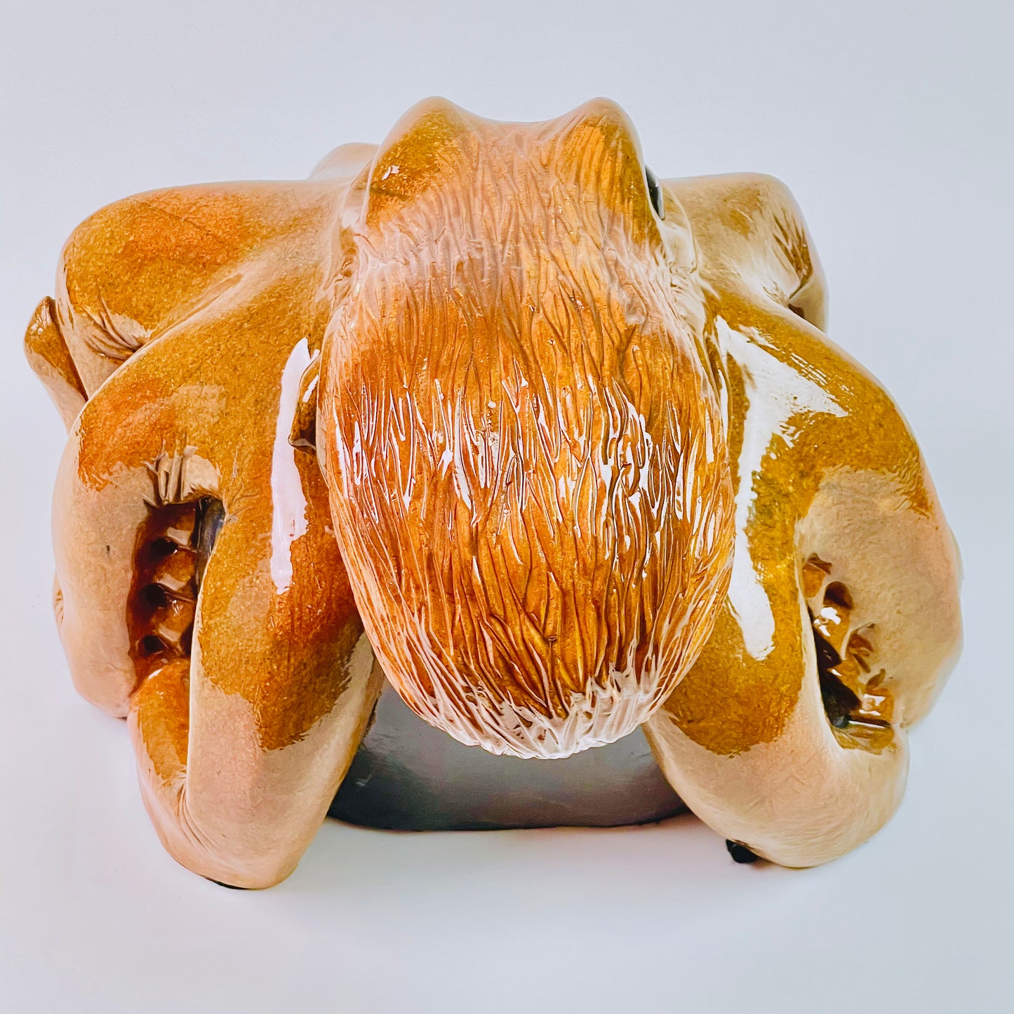 Giant Pacific Octopus