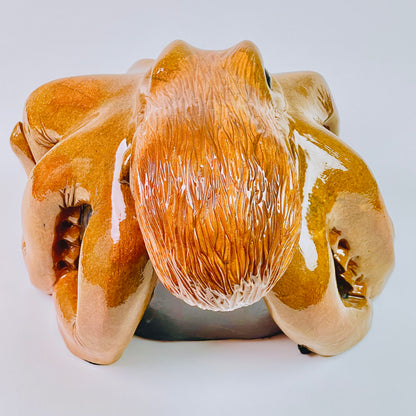 Giant Pacific Octopus