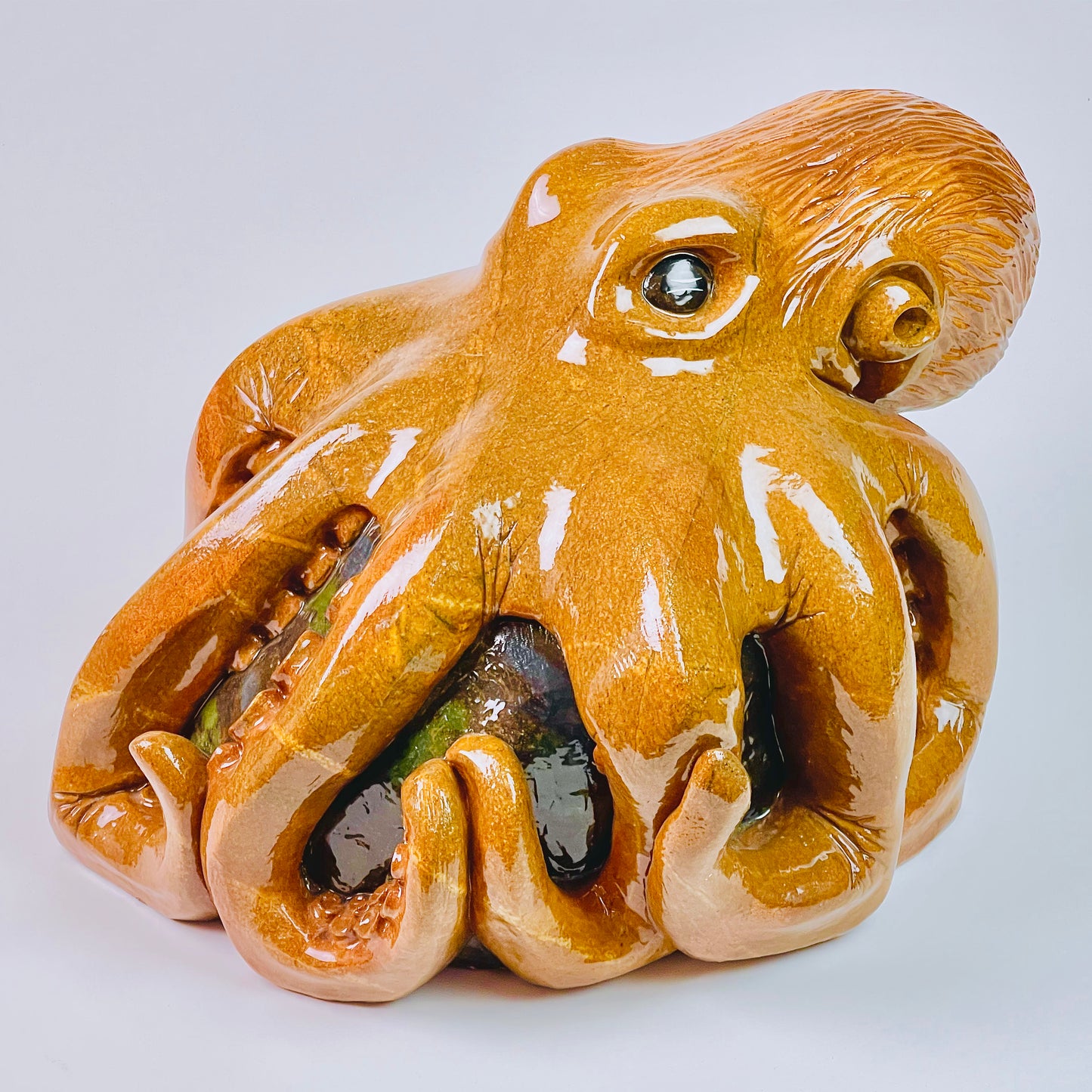 Giant Pacific Octopus