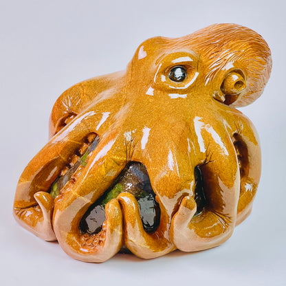 Giant Pacific Octopus