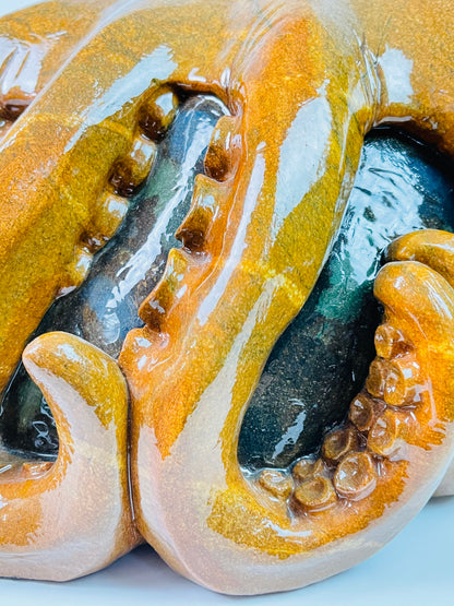 Giant Pacific Octopus