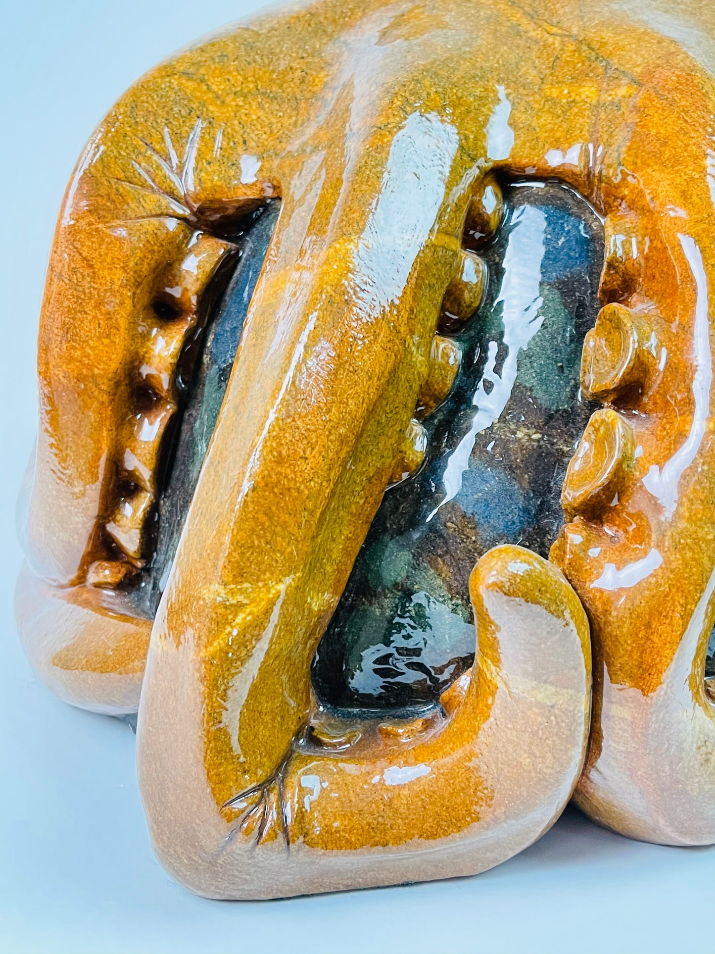 Giant Pacific Octopus