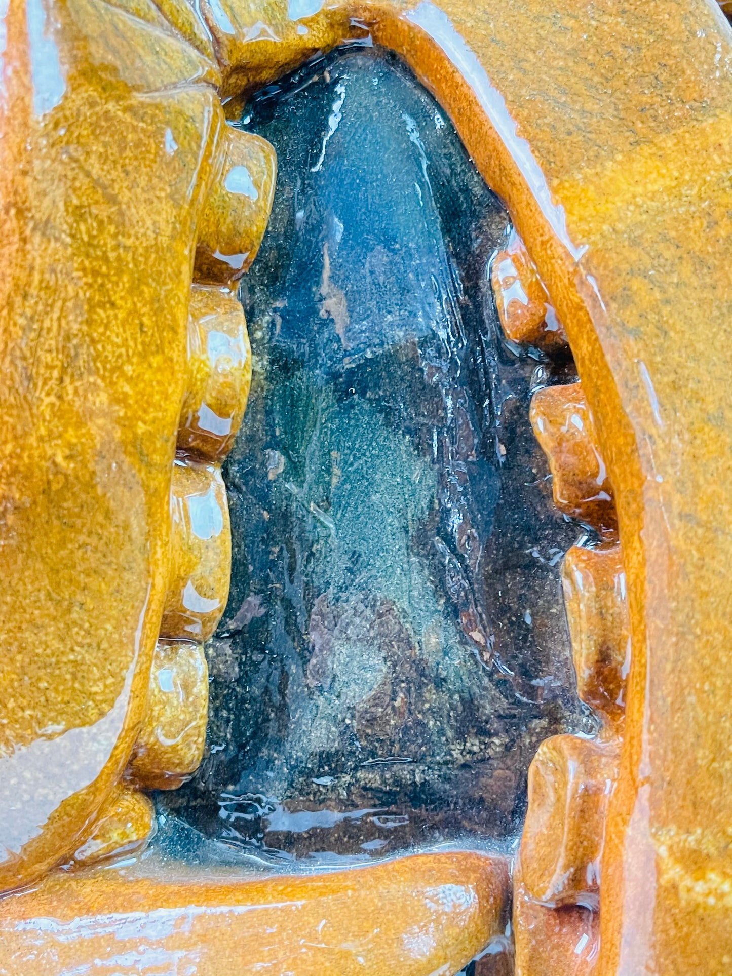 Giant Pacific Octopus