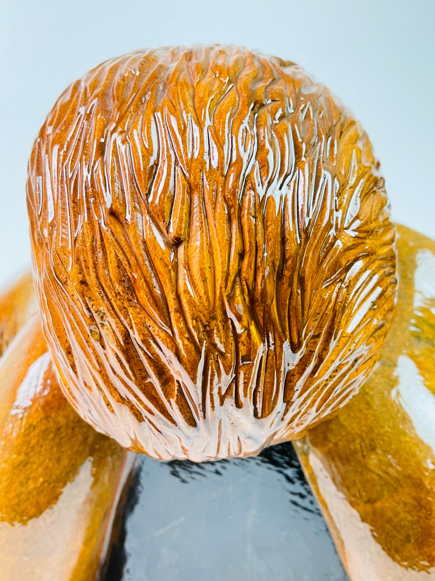 Giant Pacific Octopus