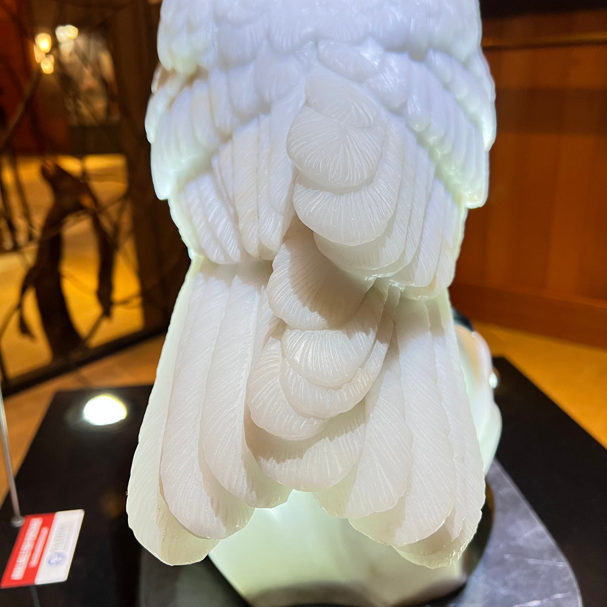 Snowy Owl