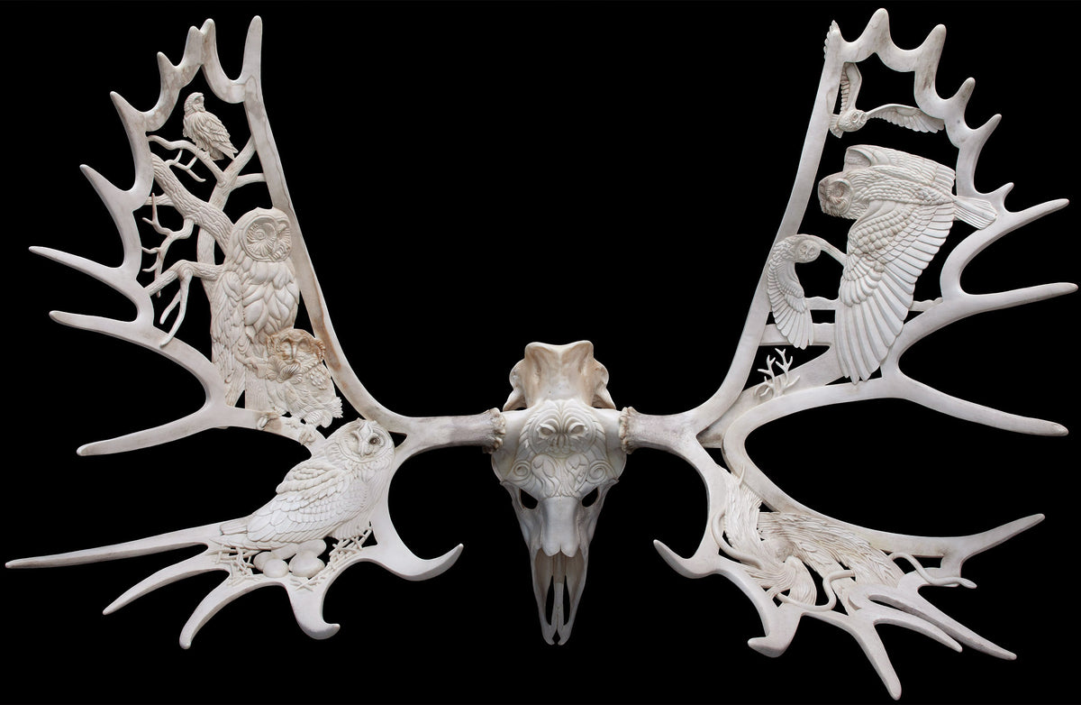 SHORT EARED PARLIAMENT Antlers – moose antler carving