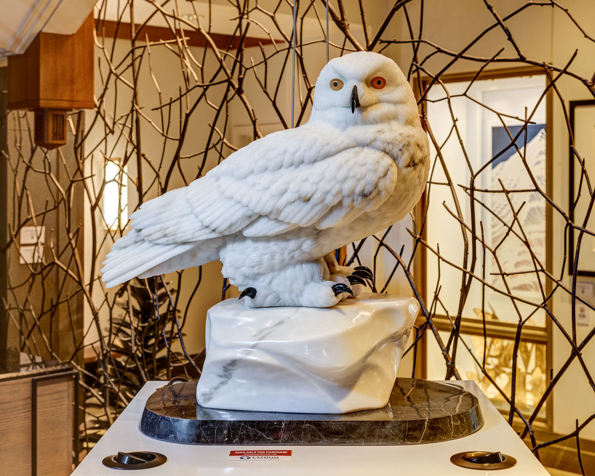 Snowy Owl
