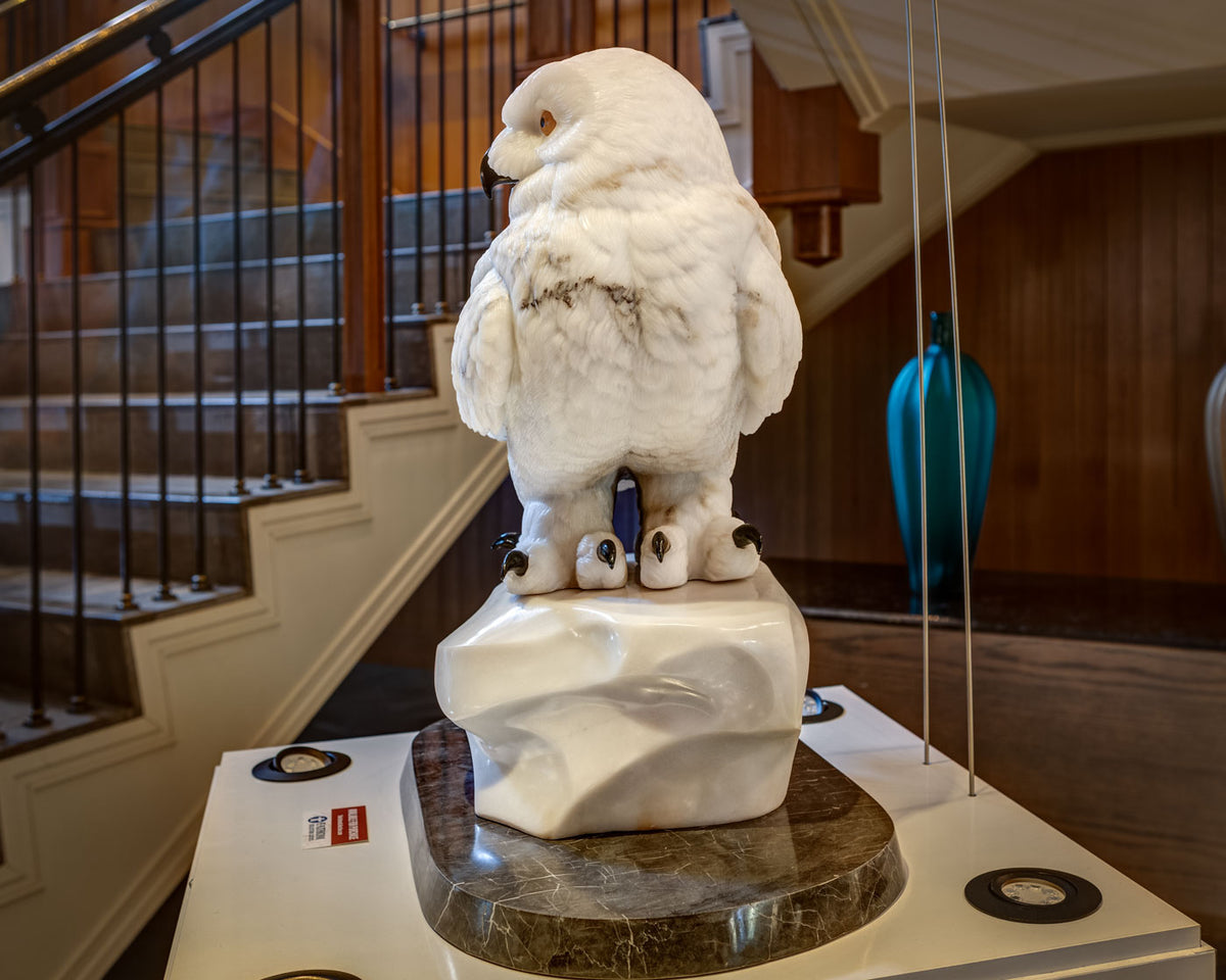 Snowy Owl