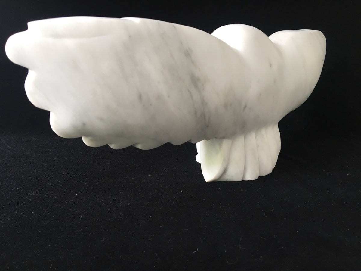 Marble Owl