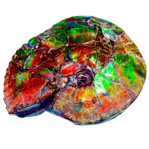 Intercalare On Fire – Ammolite